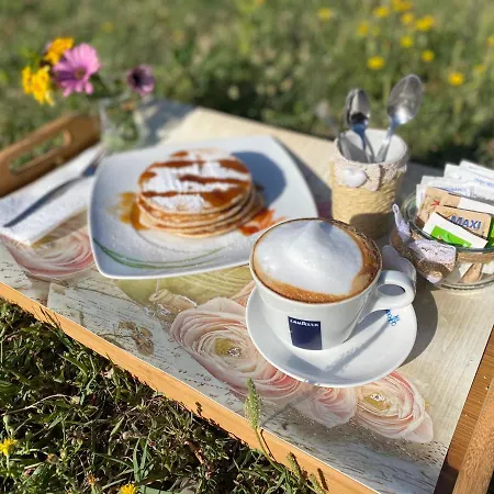 Tigrillo Nocleg ze śniadaniem