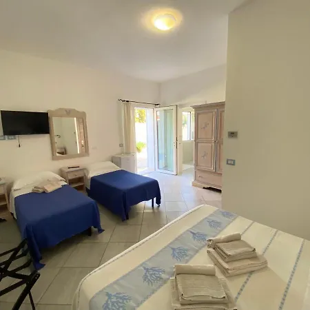 Tigrillo Olbia