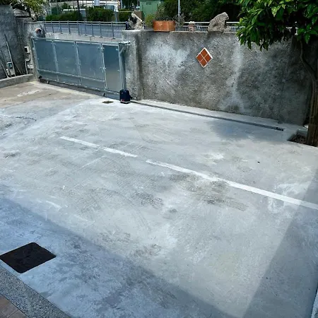 Tigrillo オルビア