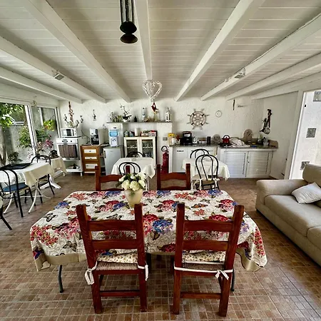 Bed & Breakfast Tigrillo *